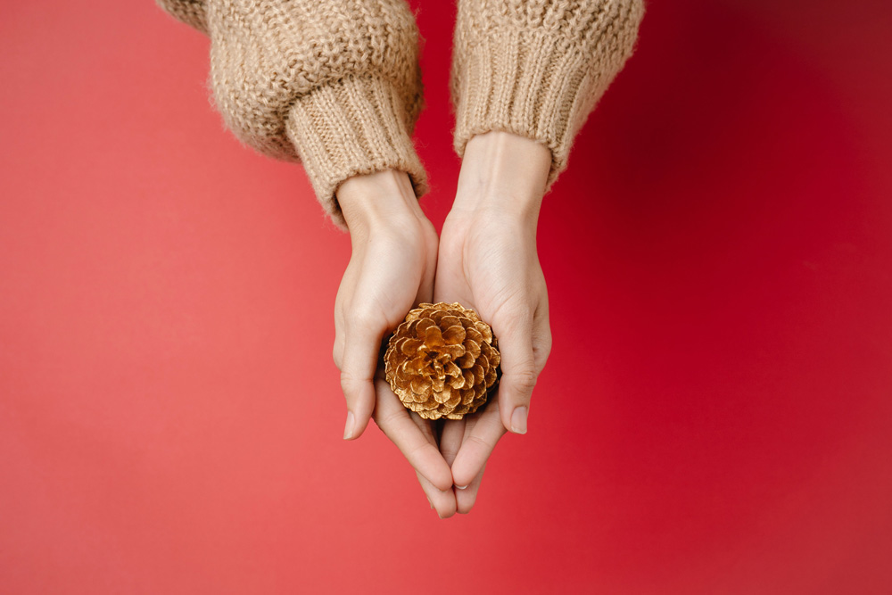 woman holding golden pinecone, holiday body image issues, Brentwood, TN Therapy