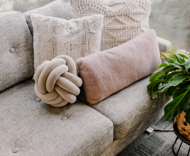 Styled closeup of a couch, throw pillows, and green plant in therapy office